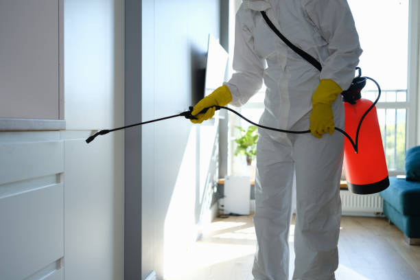 Best Black Mold Remediation in Unionville, MO