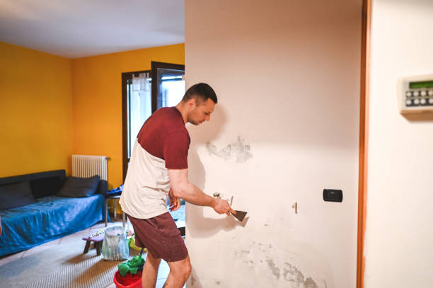 Best Post-Flood Mold Remediation in Unionville, MO